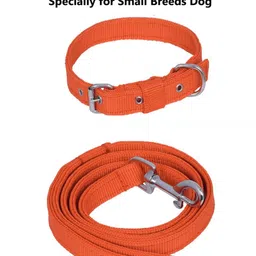 quickato Good Quality Dog Belt Combo of Red Specially for Small Breeds Dog Collar & Leash-picture-10