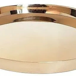 tannu craft Bronze Plate for Kitchen Dinner Plate image 2