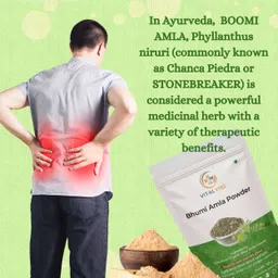 vital vibe Bhumi Amla/ Bhumi Amalaki/ Bhumyamalaki Powder, Liver Detox & Digestion Support image 4