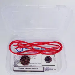 ecraftodisha lab certified nepali gol dana ek mukhi rudraksha beat in oxidized silver pendant Wood Pendant-picture-16