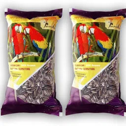 parrots wizard Large Size Parrot Food Sunflower Seeds Nuts 0.9 kg (2x0.45 kg) Dry Adult, Young, Senior Bird Food image 1
