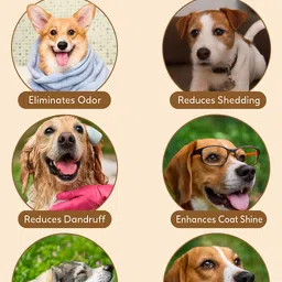 puppyhugs Oh My Dog Oatmeal and Itch Relief Pet Shampoo for Dog,1000ml-Each, Pack of 2 Conditioning, Anti-itching Mild Dog Shampoo image 4