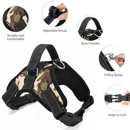 cocker Star Body Belt Rope Combo Dog & Cat Harness & Leash image 2
