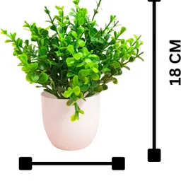 dekorly Artificial Plants for Home Office Decor, BedroomLiving Room, Tabletop Desk Décor Multicolor Eucalyptus Artificial Flowerwith Pot image 2