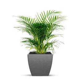 planters Sicilian Grey Polymer Fabi Small Floor Planter image 2