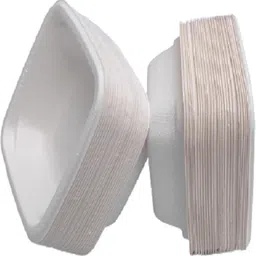 pagal mindset Sugarcane Bagasse Vegetable Bowl Disposable 4 inch Square Bowl | Sugarcane Bowls/Bagasse Bowls | Plant Pulp Disposable image 1