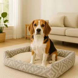 pawpourri Aztec Lounger for Dogs - M/L image 1