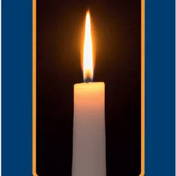 shubhkart Tejas Premium Candles Candle-picture-10