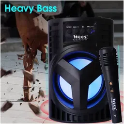 IMMUTABLE Buy WS-04 Super Bass Portable Wireless Speaker WFF2 10 W Bluetooth Home Theatre image 1