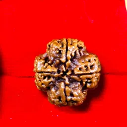 mahadevdepstore Nepali 4 Mukhi/ Four Face Rudraksha / Chatur Mukhi Rudraksha (Size 16-22mm) Wood image 3