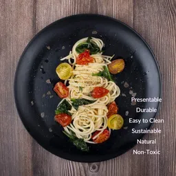 twink Melamine Unbreakable Full Size Black 11 Inch plate for Dinner, Lunch Dinner Plate image 3