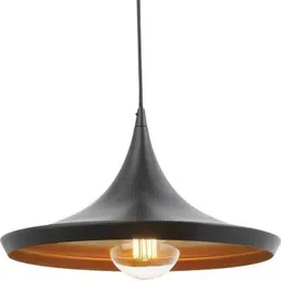 Modern Black Metal Hanging Light for living room, bedroom, hall & kitchen Ceiling Light Ceiling Lamp-image-3