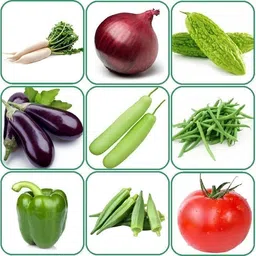 deys agro ™ hybrid vegetable seeds combo pack organic Seed-picture-21