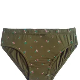dixcy josh Pack of 4 Women Hipster Multicolor Panty image 2