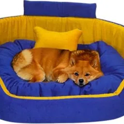 havens dream Dog Bed, Sofas Bed & Chairs Bed Coller With Haddi XXXL Pet Bed-picture-24