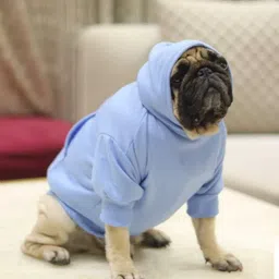 baeship Hoodie for Dog-picture-12
