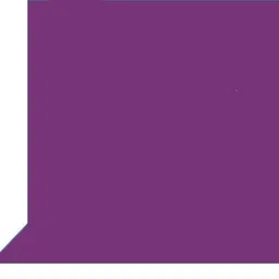 Cam cart 8ftx12ft Purple Background With 9ftx9ft Background stand Kit With Bag Reflector-picture-43