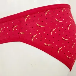 fanmade Pack of 6 Women Hipster Multicolor Panty image 2