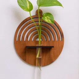 dcarts DeCarts Wooden Test Tube Planter for Home ,Office , Garden Decor image 1