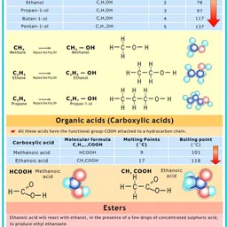 vcp Chemistry Chart - Alcohols, Ester & Organic acid ( Organic Chemistry ) Photographic Paper image 1