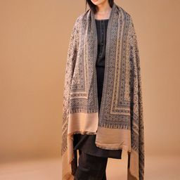 SWI Stylish Women Paisley Woven Design Shawl-picture-12
