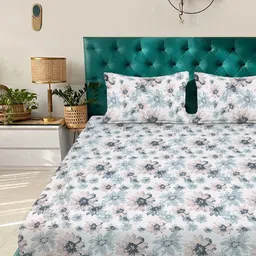 Aura White & Blue Floral Floral Printed 300 TC King Bedsheet Set 2.5 m x 2.25 m-picture-15