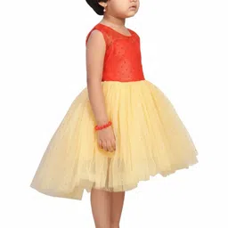 Aarika Net Fit & Flare Dress image 4