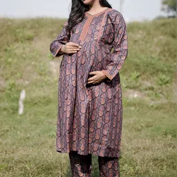 Aujjessa Women Ethnic Motifs Printed Regular Kurta with Trousers image 3