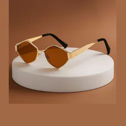 OUDI Unisex Brown Lens & Gold-Toned Oval Sunglasses with image 3