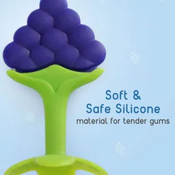 Joy Buzz Set Of 2 Baby Silicone Fruit Teether & Fruit Feeder- Blue & Purple image 5