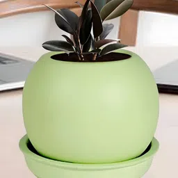 LASAKI Peblo Lime-Green Ceramic Handmade Planter With Plate-image-96