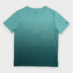 Tommy Hilfiger Boys Brand Logo Printed Round Neck Cotton T-shirt-picture-33
