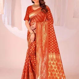 Florence Woven Design Zari Banarasi Saree image 4