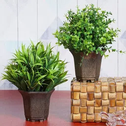 Dekorly Multi Plastic Artificial Flowers & Plants With Pot-picture-31