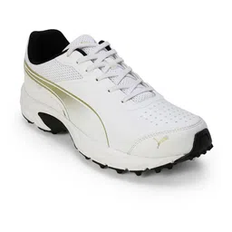 Puma Cricket Power 2.0 Men's Cricket Shoes-picture-6