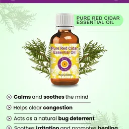 Deve Herbes Pure Red Cidar Essential Oil - 10 ml image 2