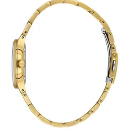 Daniel Klein Women Dial & Stainless Steel Straps Analogue Watch DK.1.14136-2 image 3