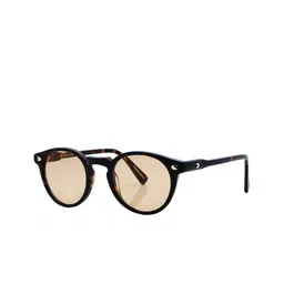 Shisen Fox Unisex Oversized Sunglasses with UV Protected Lens SG302-picture-16