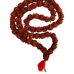 Apnisanskriti Unisex Metal Necklace-picture-10