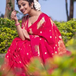 ELITE WEAVES Ethnic Motifs Woven Design Zari Banarasi Saree image 5