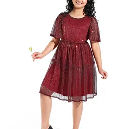 Hola Bonita Flared Sleeve Net Fit & Flare Dress-picture-57