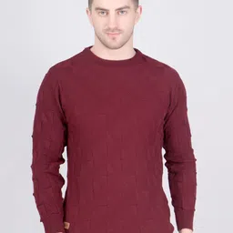The Roadster Lifestyle Co Textured Acrylic High-Neck Sweater-image-78