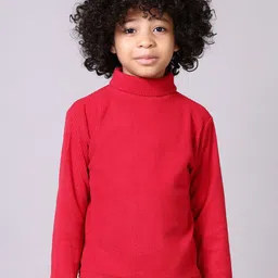 V-Mart Boys Turtle Neck Long Sleeves Regular Pullover-picture-38