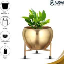 audace Metal Table Top Planter with Gold Finish | Elegant Home & Office Decor Iron Vase image 5