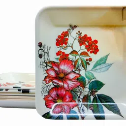 laserbot (SIZE-6 X 6" Inch) ROSE Snacks and Sweets, Plates/Tray for Party Serving Platter Chip & Dip Tray-picture-13