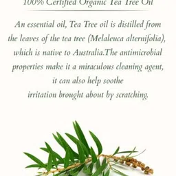 Lotus Organics+ Set Of 2 Dandruff Control Shampoo-300ml Each image 3