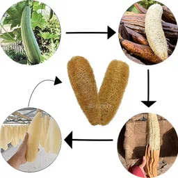 beliko Loofah image 2