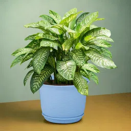 Kuber Industries 10Pcs Blue & Beige Textured Planters With Plate image 2