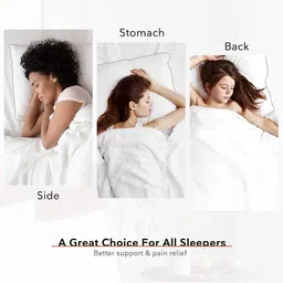 Shadowkart Set of 4 Fibre Filled Polyester Ultra Soft Sleep Pillow image 4