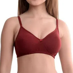 extoes Pack of 2 Women Push-up Lightly Padded Bra image 4